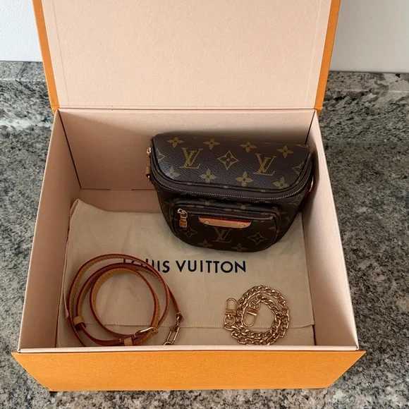 Louis Vuitton Mini Bum Bag - Picture 14 of 16